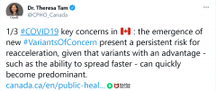 加拿大全国感染变异新冠病毒的病例已