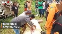 印尼一8岁儿童遭鳄鱼吞下，民众抓捕后