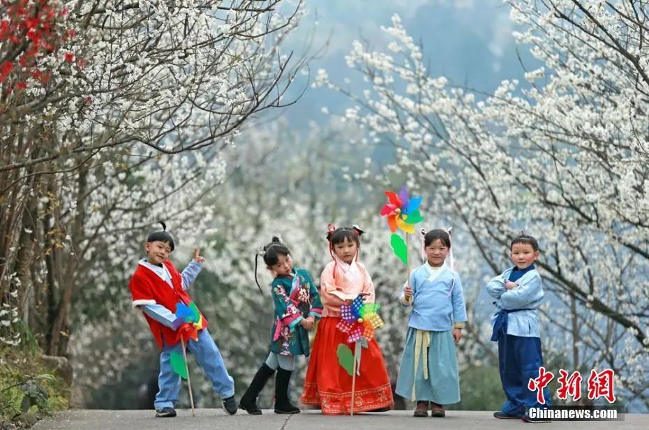 资料图:汉服萌娃“现身”万亩樱桃花海。钟欣 摄