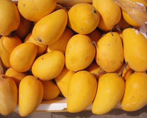 注意!5种“食物”不要放冰箱