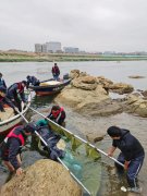 中华白海豚有着“海上大熊猫”之称