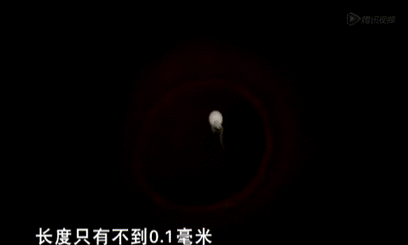 女童被妈妈饿成干尸,亲爸狂扇婴儿巴掌:你不知道,孩子有多爱你