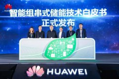 双碳目标下“储能之痛”如何破？华为