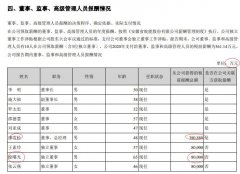  皖能电力2020年年报出错 高管薪酬单位