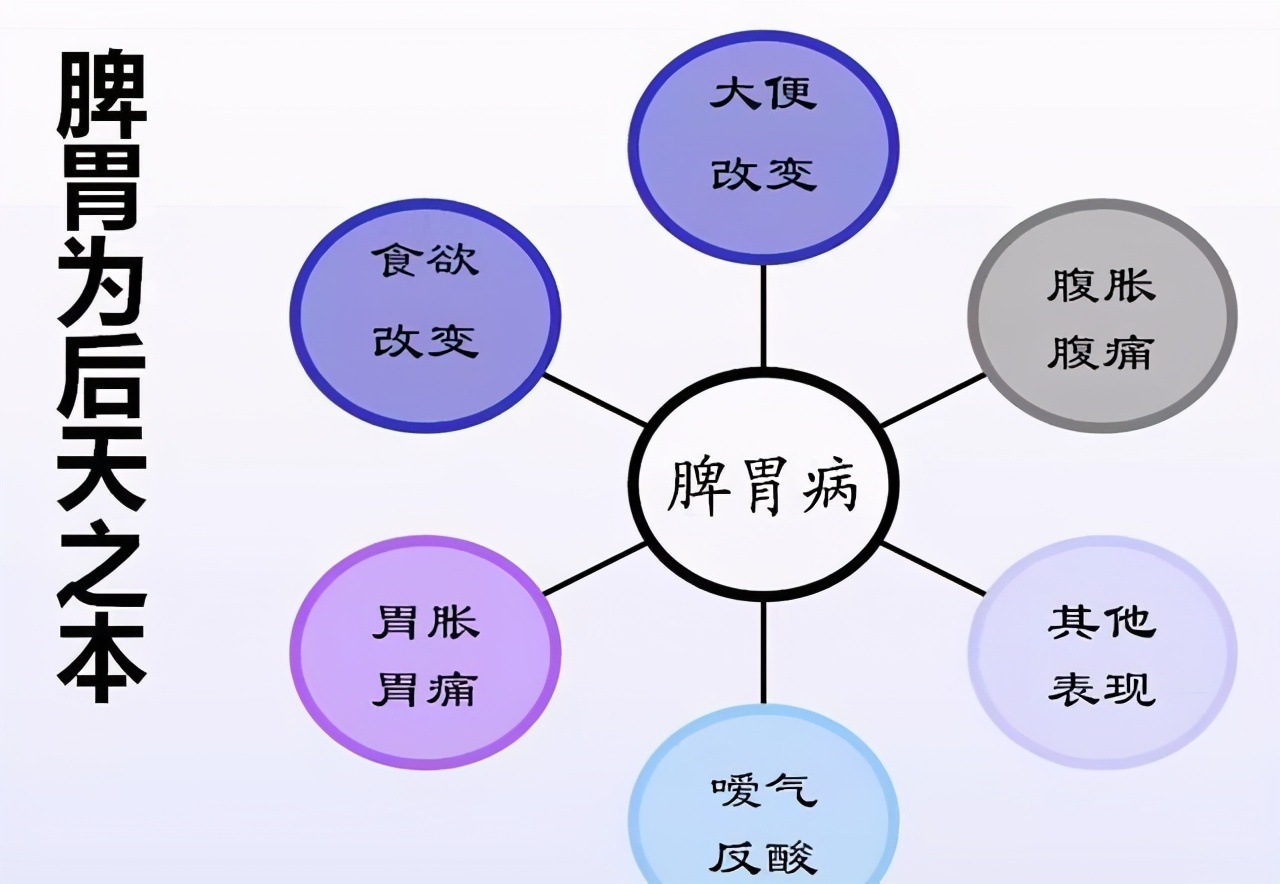 爱吃肉,当心脾胃不好!3种常见脾胃病,中医教你如何调理