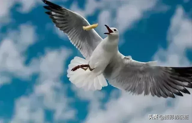 写给摄影爱好者:基础的摄影知识