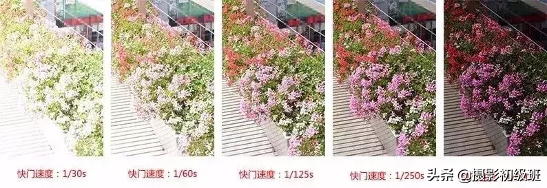 写给摄影爱好者:基础的摄影知识
