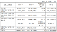 通达电气2020年净利下滑67.51% 董事长陈丽