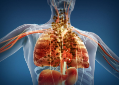 肺是如何排毒解毒的？
