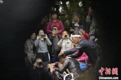 中国最后一个枪手部落岜沙苗寨恢复民