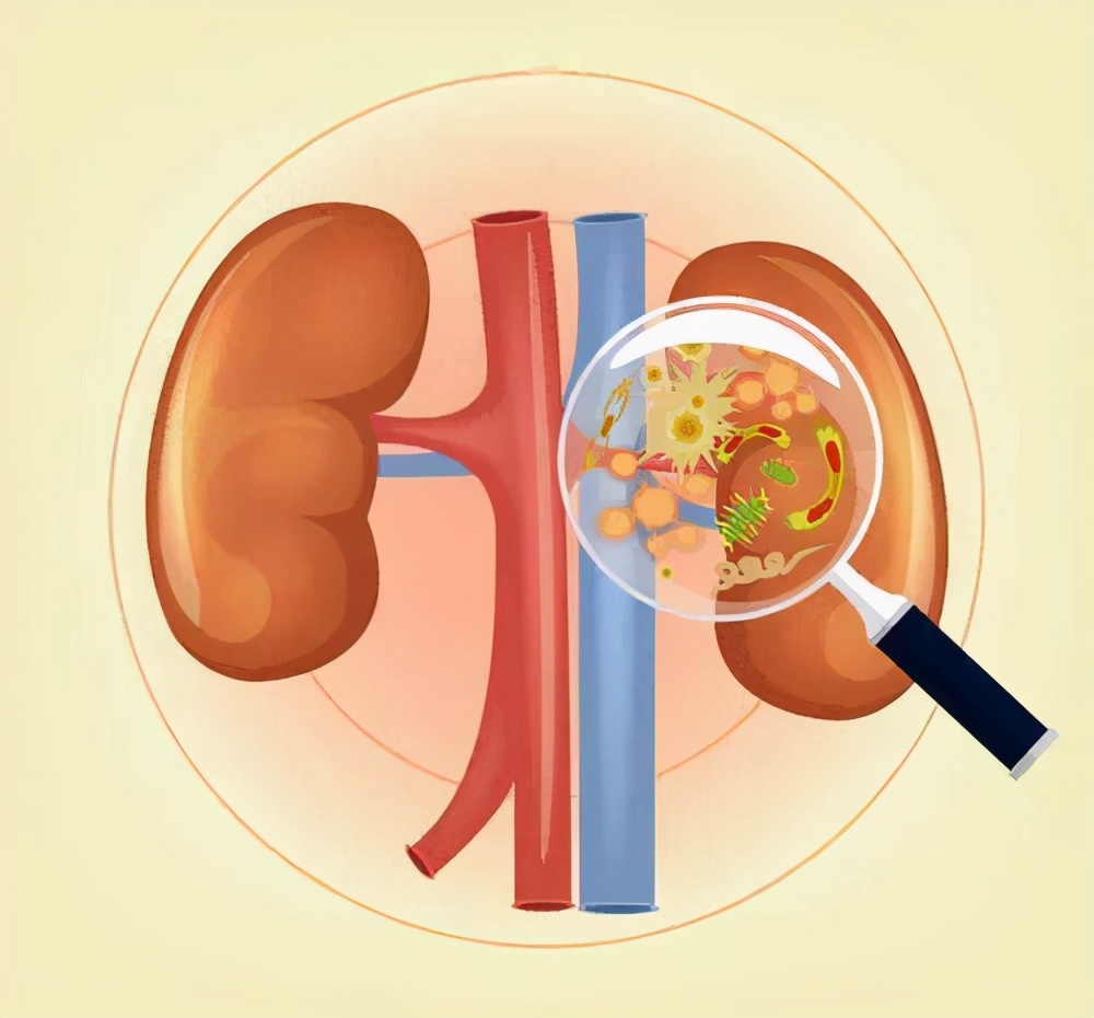 40岁开始，每过10年，肾功能下降10%！专家告诉您怎样才能远离肾病