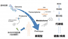  36氪首发 | 提供临床质谱和代谢组学全