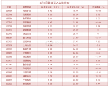 杠杆资金大幅加仓股曝光！海南矿业买