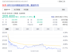  快手股价单日大跌11.46%，资本不懂快手