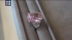  超1.8亿元 史上最贵紫粉钻石“樱花”在