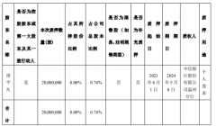  森马服饰控股股东周平凡质押2000万股