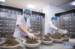 全国中成药联合采购办公室成立，首次