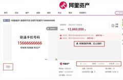 中国最“6”手机号起拍价1366万 里面竟