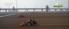 今秋卫辉市冬小麦计划播种50万亩，预计