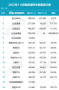 目前市面上热销的新能源轿车中，每一