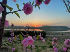 北京推出100家文化旅游体验基地