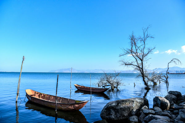 洱海什么季节看海鸥