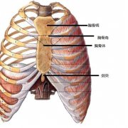 男子发热、胸痛，复查CT挽回一命