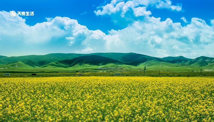 阳泉市春季赏花去哪里