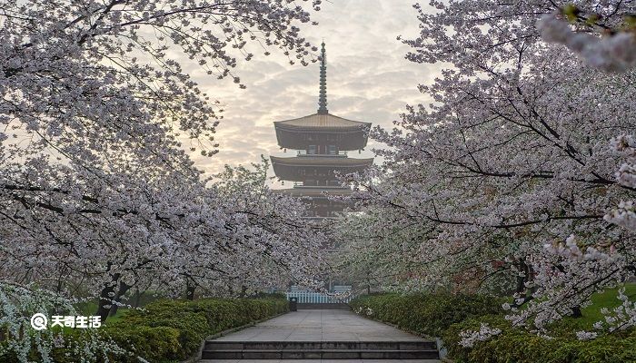 雅安市春季赏花去哪里