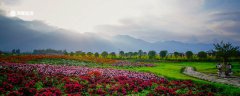 通化市春季赏花去哪里 通化市春天赏花