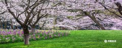 湖州市春季赏花去哪里 推荐湖州市春季