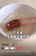 广东人吃饭的敷衍方式烧腊腐乳罐头鲮